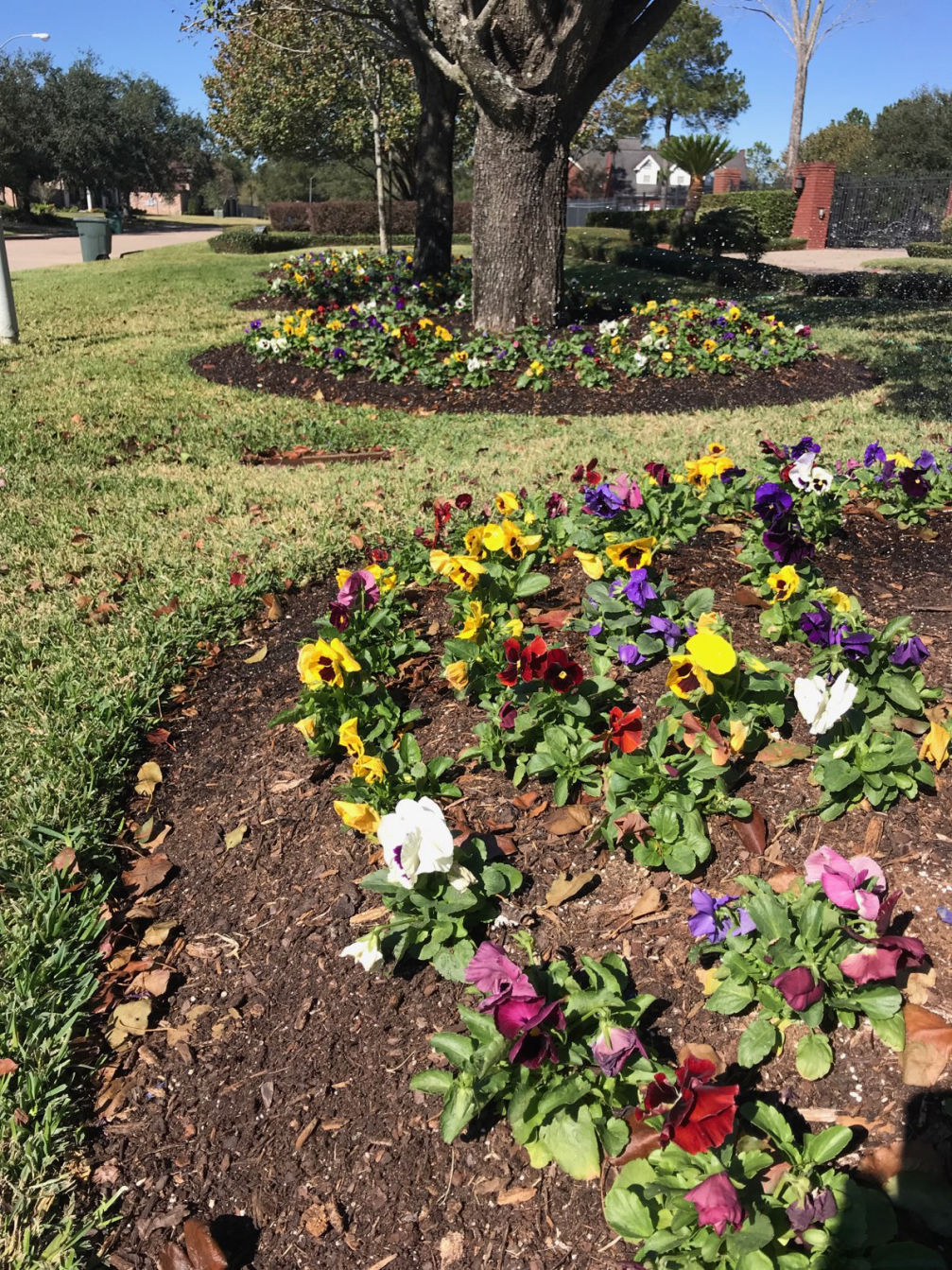 EL Irrigation and Landscaping