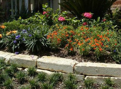 EL Irrigation and Landscaping