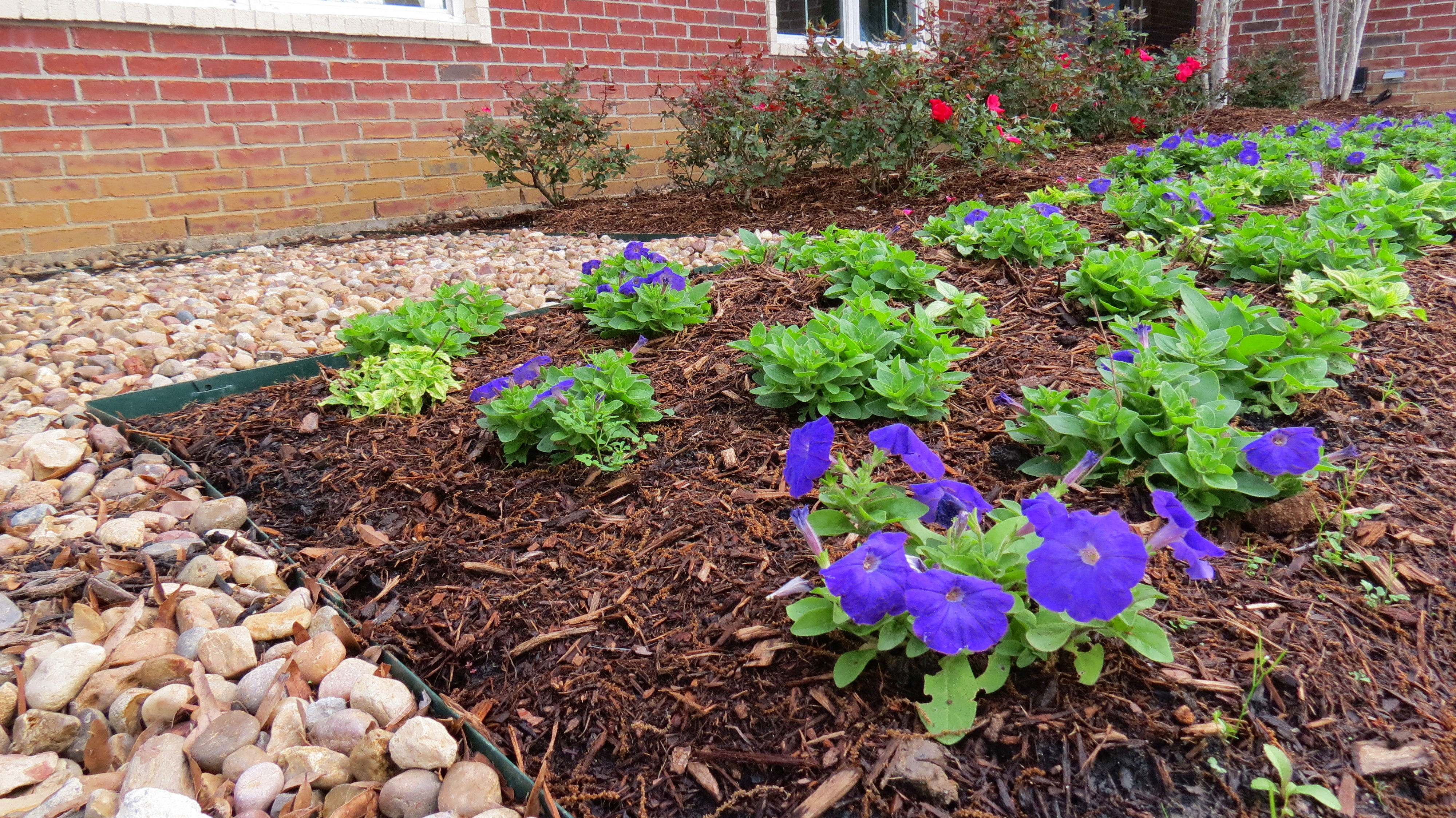 EL Irrigation and Landscaping