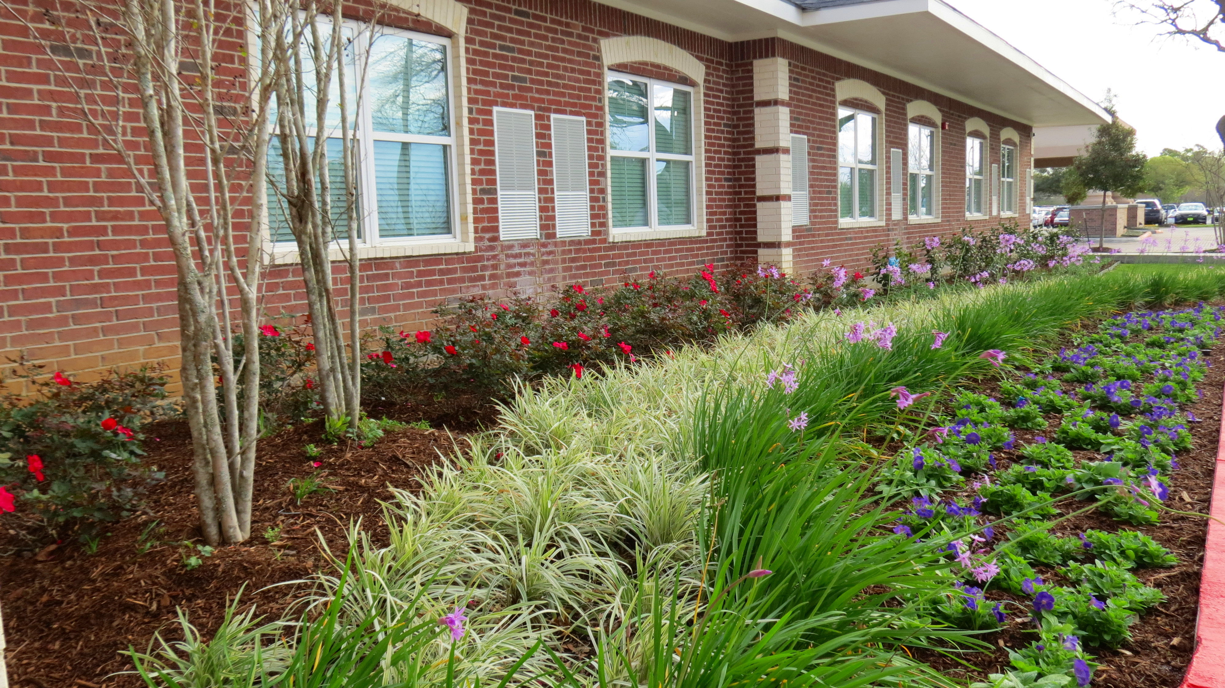EL Irrigation and Landscaping