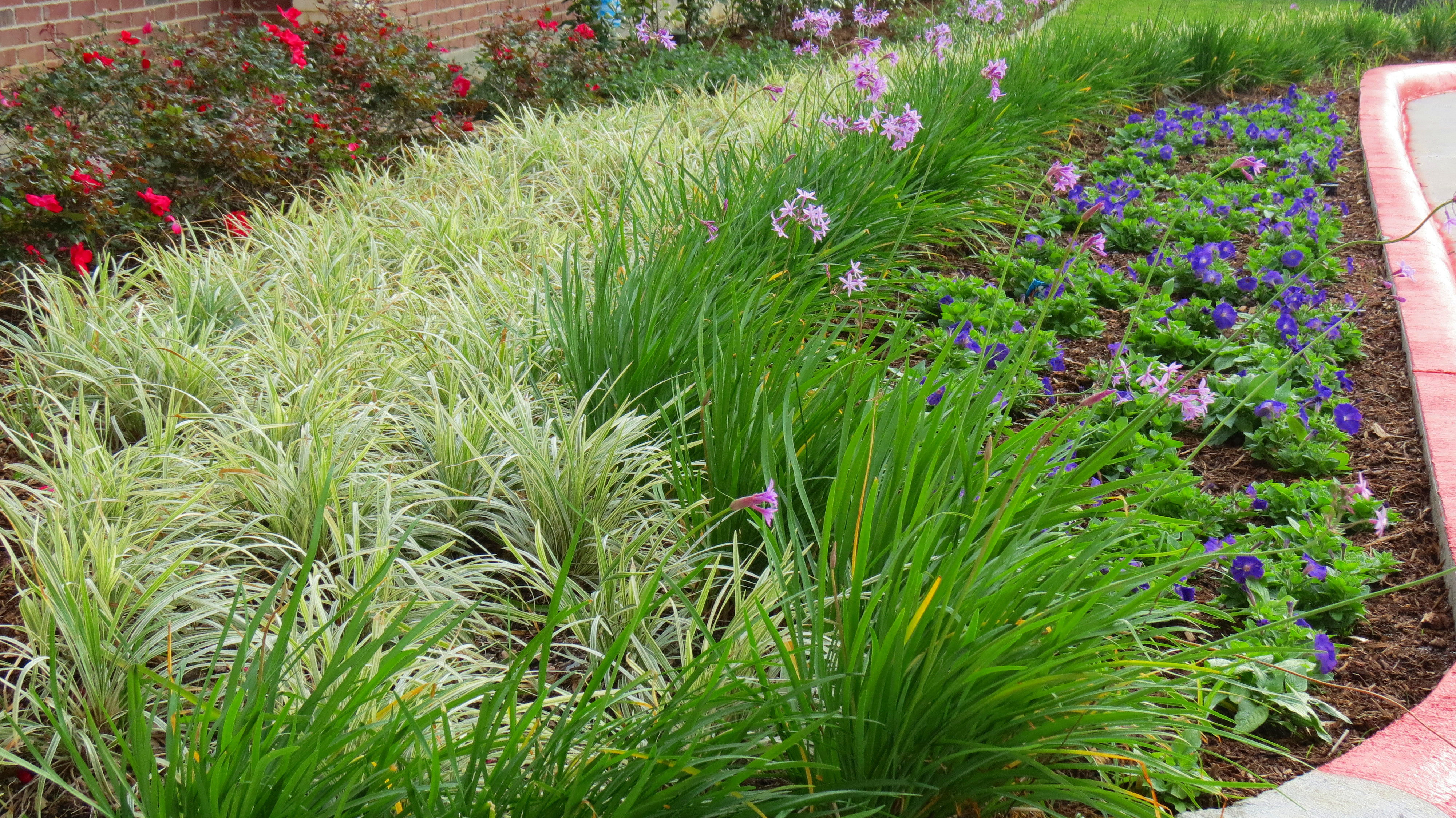 EL Irrigation and Landscaping