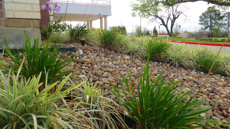 EL Irrigation and Landscaping