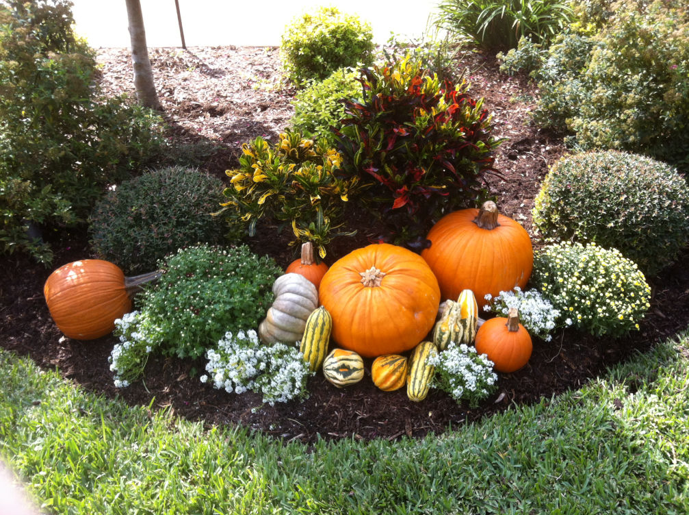 EL Irrigation and Landscaping