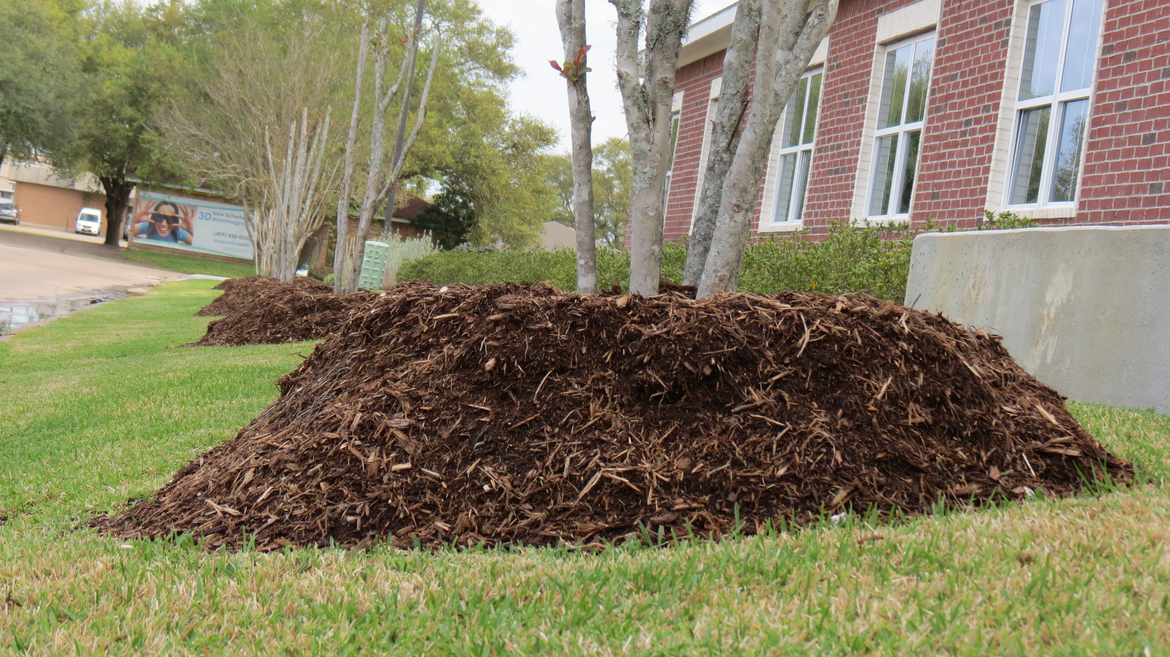 EL Irrigation and Landscaping