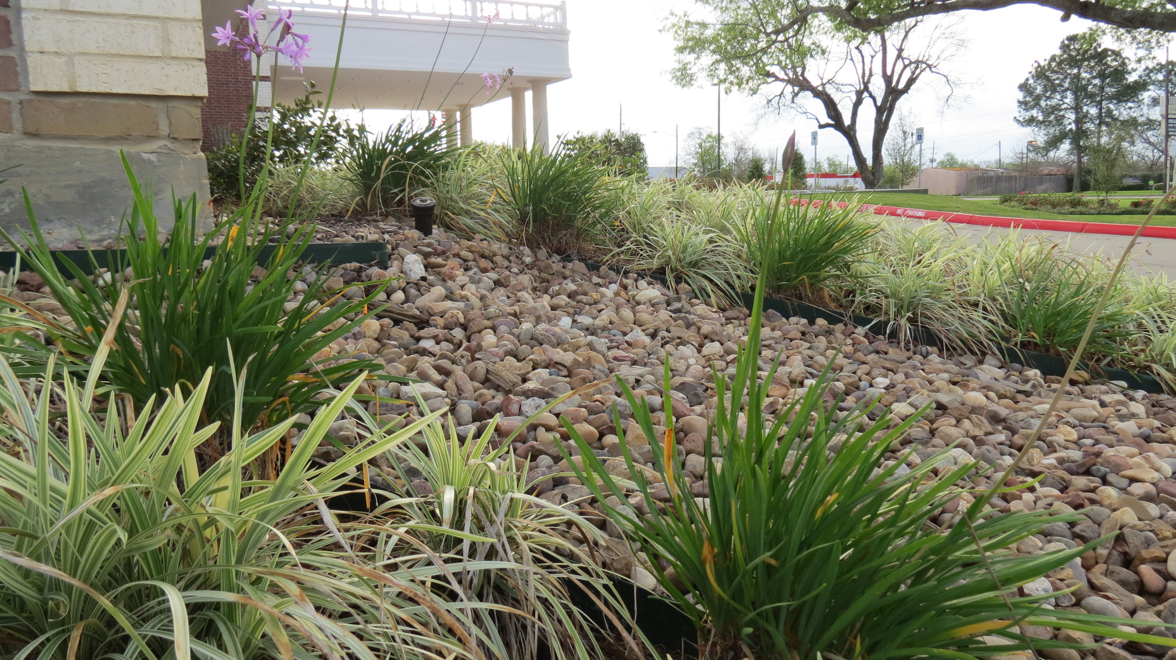 EL Irrigation and Landscaping