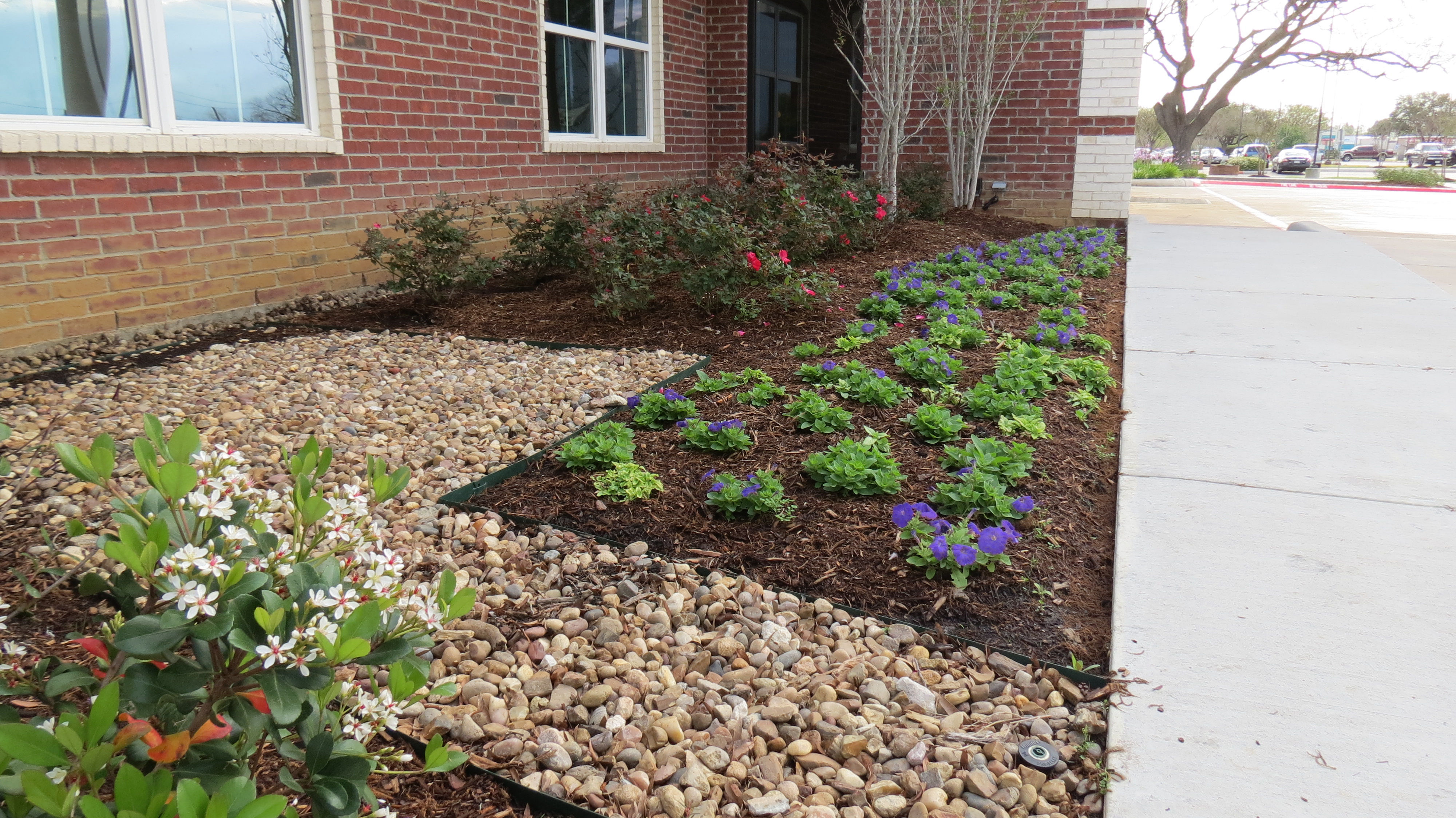 EL Irrigation and Landscaping