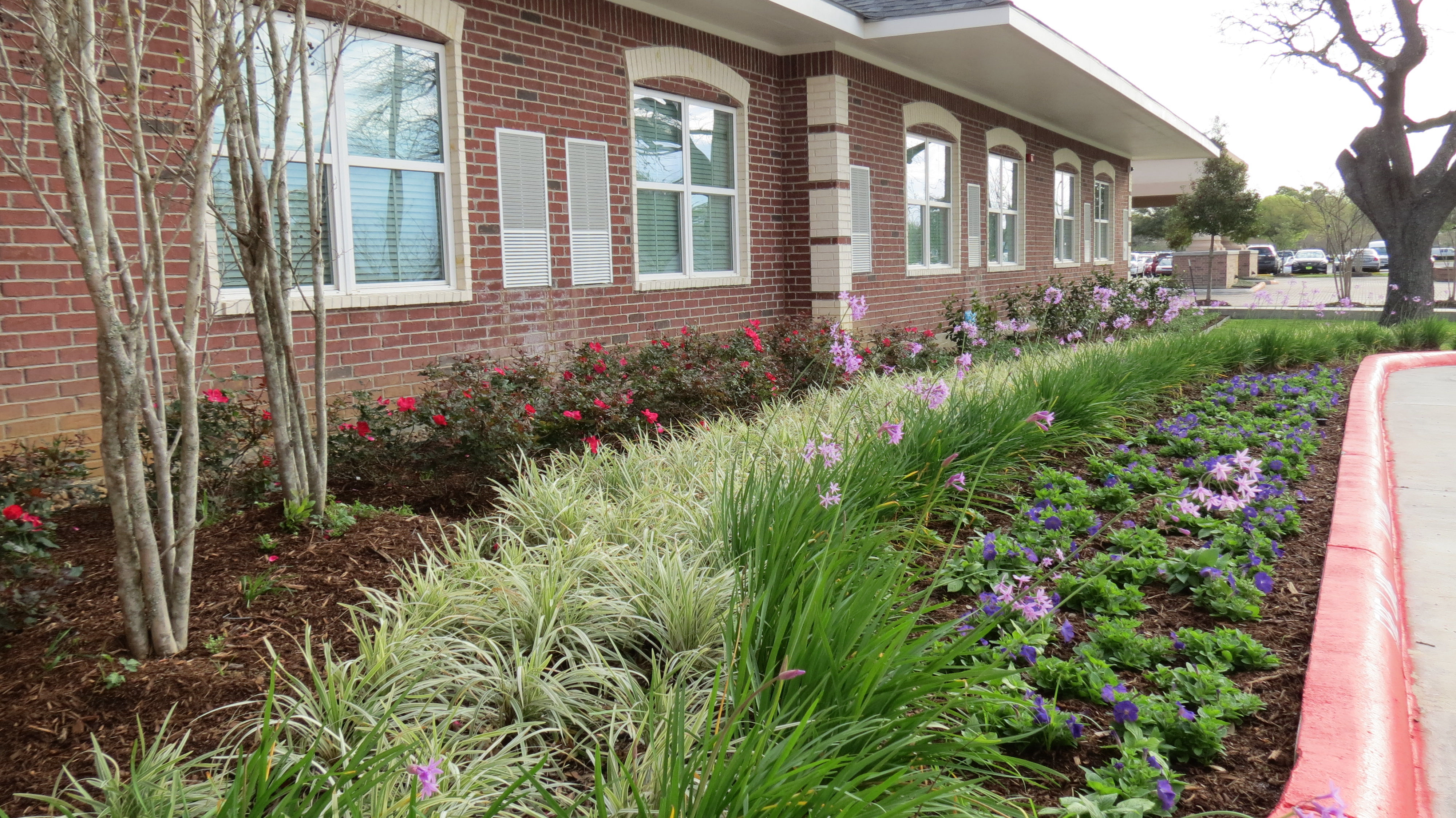 EL Irrigation and Landscaping