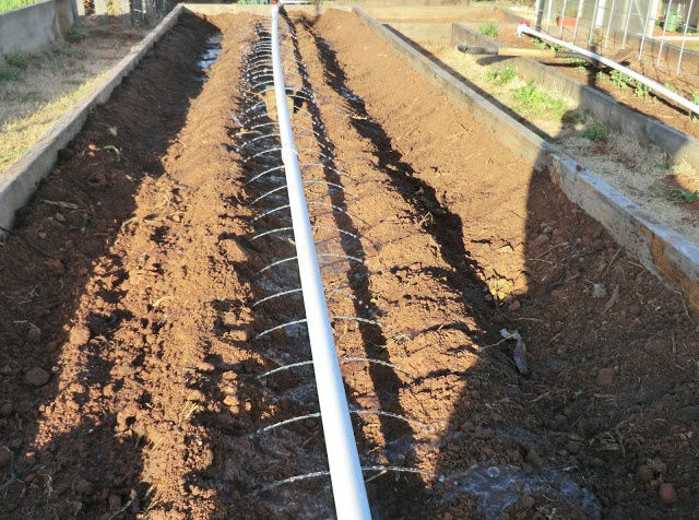 EL Irrigation and Landscaping
