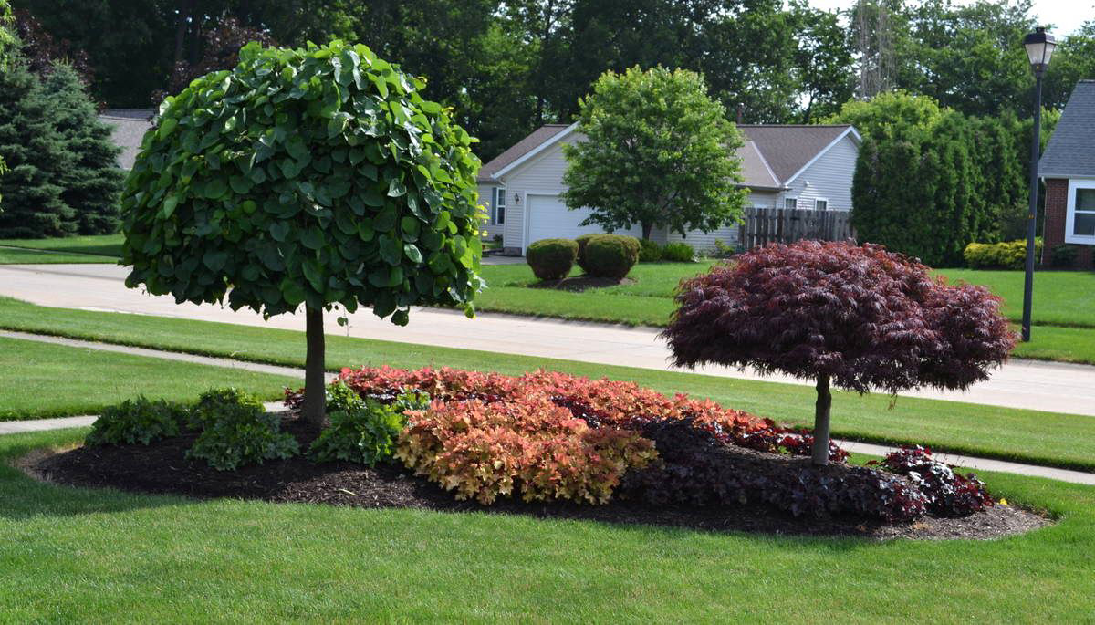 EL Irrigation and Landscaping